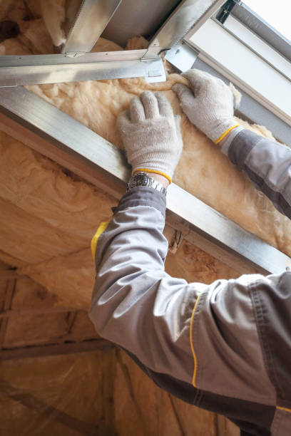 Best Commercial Insulation in Livermore, CA