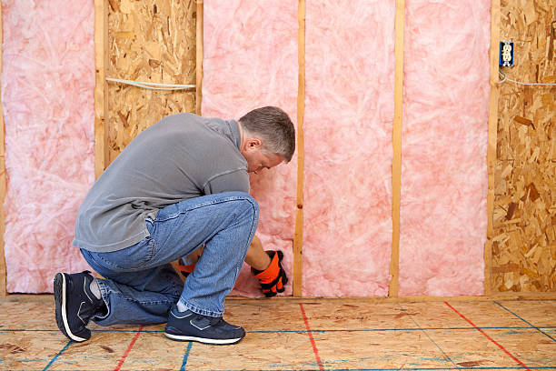 Best Insulation Installation Services in Livermore, CA